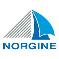 norgine logo 002